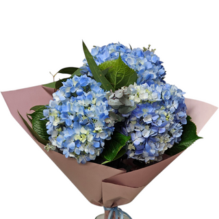 Ramo con hortensias azules 