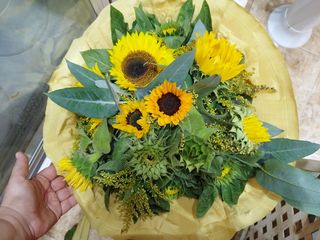 Ramo de girasoles 