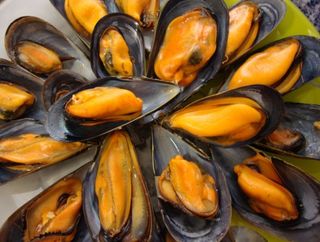 Mejillones