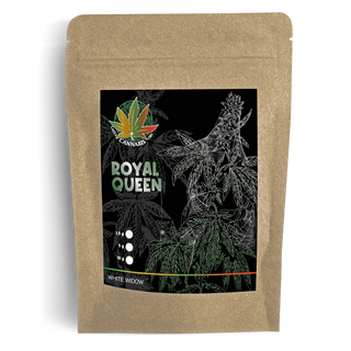 Royal Queen - White Widow 1,5g