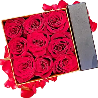 Flowerbox 9 rose rosse