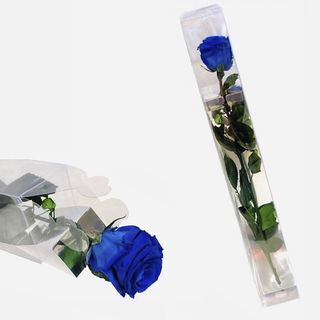 Rosa Azul Preservada