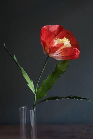 Amapola Roja De Papel