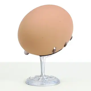 Jaje