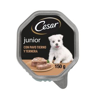 150 g Cesar Pavo y Ternera Terrina en Gelatina para Cachorros