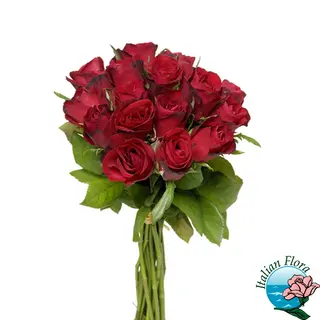 Elegante mazzo di 12 Rose Rosse  Festa della Mamma