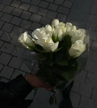თეთრი სტანდარტი ვარდები  გამჭვირვალე შესაფუთ
 ქაღალდში