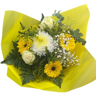 Ramo Variado consell