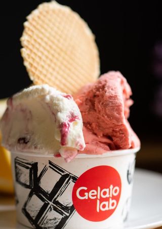 Занаятчийски сладоледи