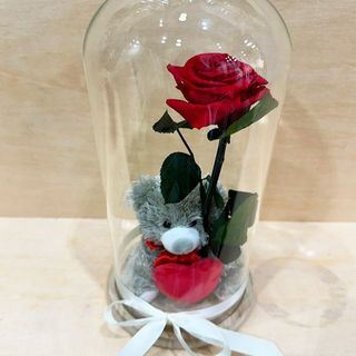 Cupula de Rosa roja Eterna con mini osito
