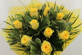 Giallo puro