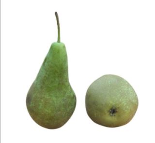 Poires Italie - kg