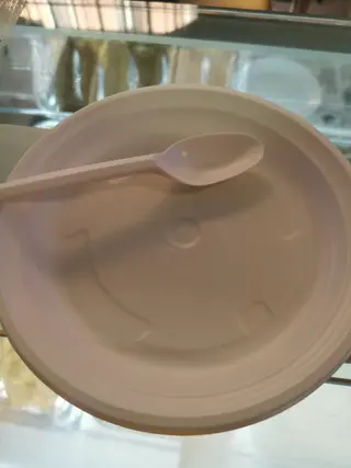 Plate 1. and spoon 1. plastic 