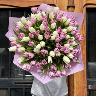 Sweet Sorbet Tulips – Ramo de 101 Tulipanes