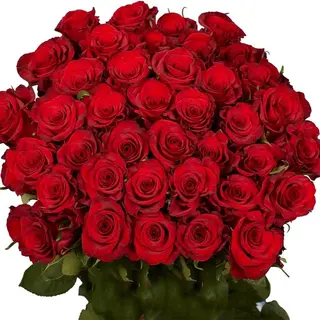 100 roses rouges avec emballage 