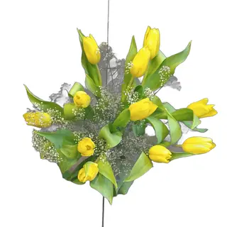 Wiosenny tulipan 