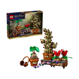 Plante pentru ora de ierbologie de la Hogwarts - 76474