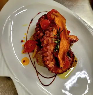 Caracatita