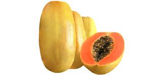 Papayos Kg.