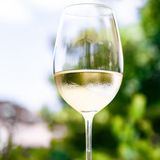 Вино Шардоне Біле, Сухе 1кг