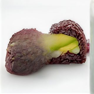 Uramaki Roll Venere Vegetale 4 pezzi