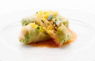 Spring roll