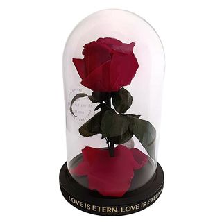 Cúpula De Cristal 22cm Con Rosa Eterna Roja