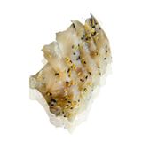 Сашими лаврак (100гр)