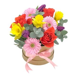 Cutie cu germini, trandafiri, narcise, lalele