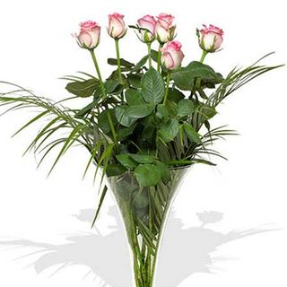 Ramo de 6 rosas  color rosa.