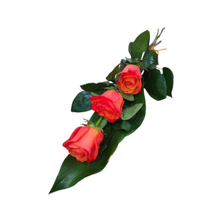3 Rosas Laranja