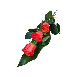 3 Rosas Laranja