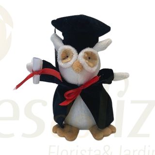 Mocho de Peluche (Já sou Doutor)
