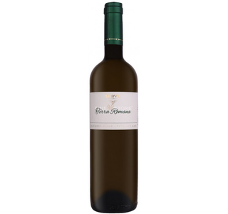 Sauvignon Blanc & Fetească Albă Terra Romana