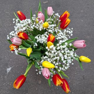 Bouquet.  Tulipani