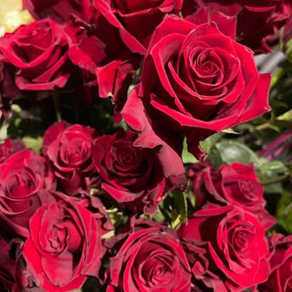 Bukiet z 3 długich czerwonych róż