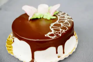 Tort Bibescu