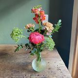 Violetero Día de la Madre