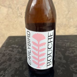 Kombucha Earlybird