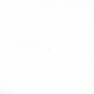 Авокадо тост з креветками (290г)