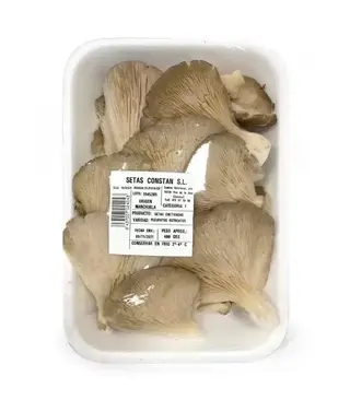 Setas Bandeja (400 Gr. Aprox) 1Ud.