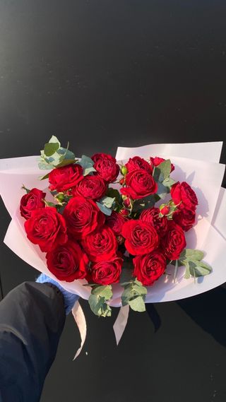 წითელი ჯუჯა ვარდი “ ელეგანტი “