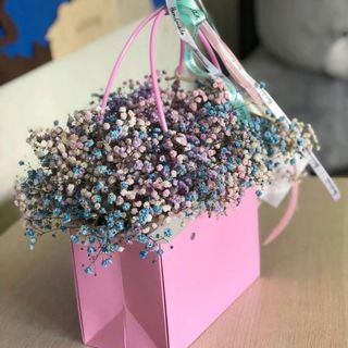 გიფსოფელა