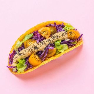 Vegan Fox