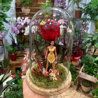 Cúpula con Rosas Eterna Arcoiris "Colores en el Viento"