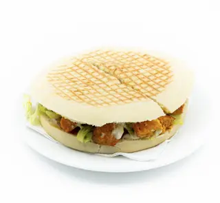 Campero de pollo especial