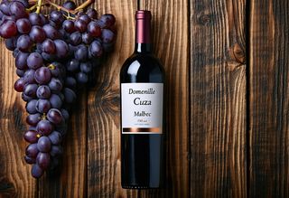 "Domeniile Cuza" Malbec (sec)