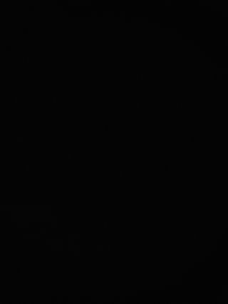 Pizza alla Crema di Zucchine