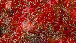 Marinara PORZIONE INTERA