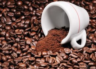 Кава Арабіка